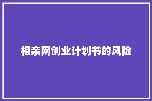 相亲网创业计划书的风险