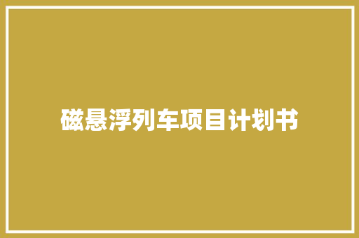 磁悬浮列车项目计划书