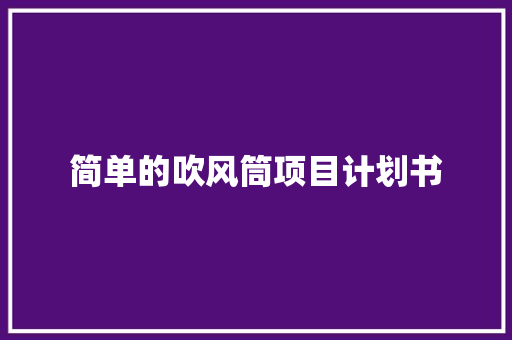 简单的吹风筒项目计划书