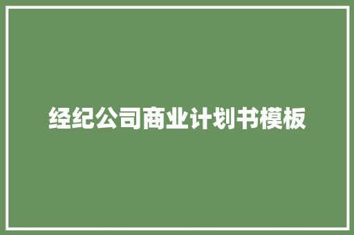 经纪公司商业计划书模板