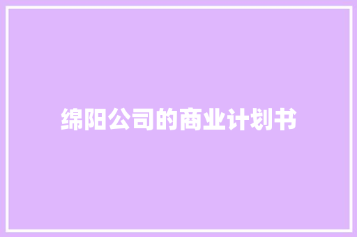 绵阳公司的商业计划书