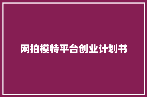 网拍模特平台创业计划书