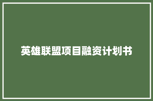 英雄联盟项目融资计划书