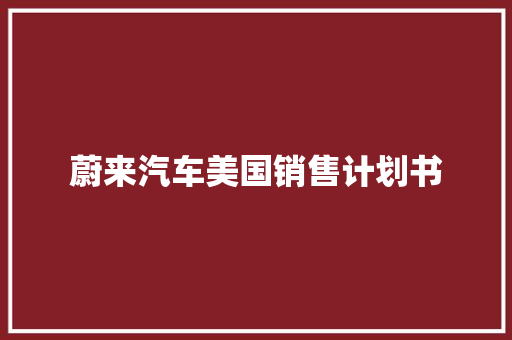 蔚来汽车美国销售计划书