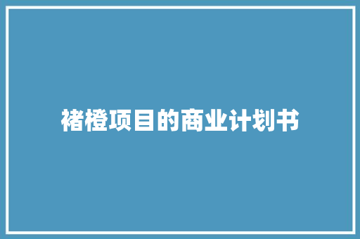 褚橙项目的商业计划书