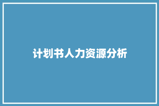 计划书人力资源分析