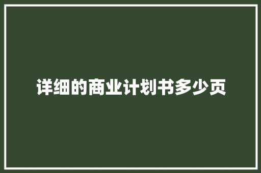 详细的商业计划书多少页