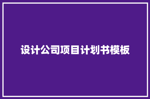 设计公司项目计划书模板