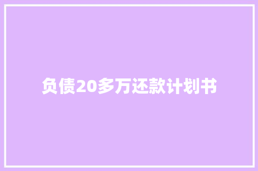 负债20多万还款计划书