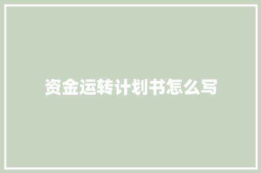 资金运转计划书怎么写