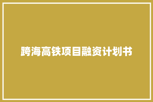 跨海高铁项目融资计划书