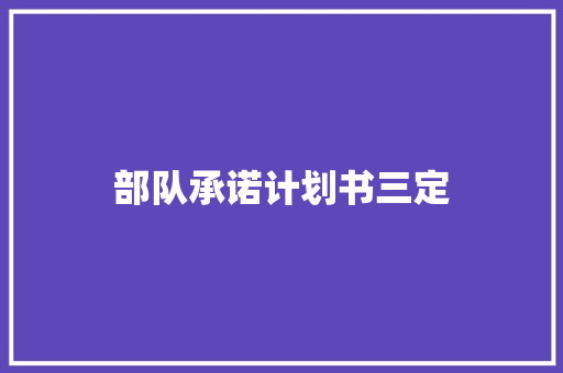 部队承诺计划书三定