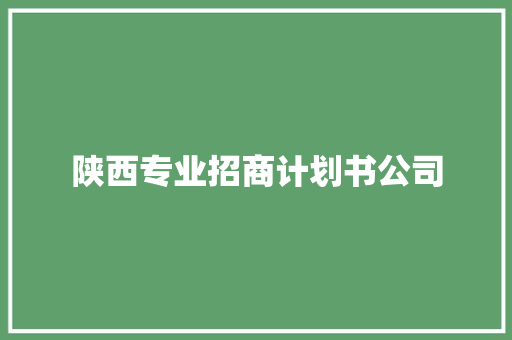 陕西专业招商计划书公司