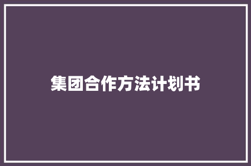 集团合作方法计划书