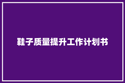 鞋子质量提升工作计划书