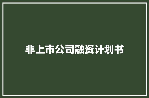 非上市公司融资计划书