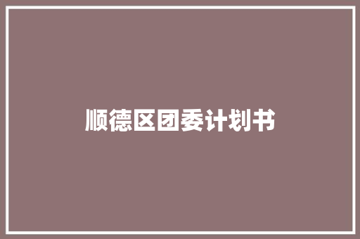 顺德区团委计划书