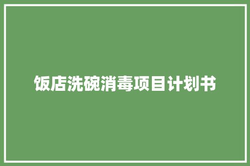 饭店洗碗消毒项目计划书