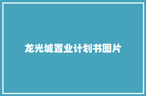 龙光城置业计划书图片