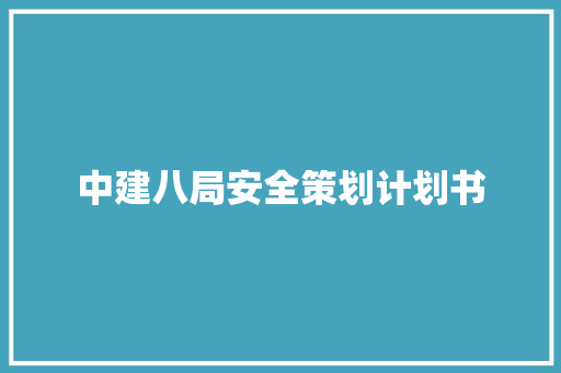 中建八局安全策划计划书