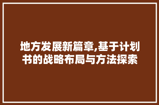 地方发展新篇章,基于计划书的战略布局与方法探索