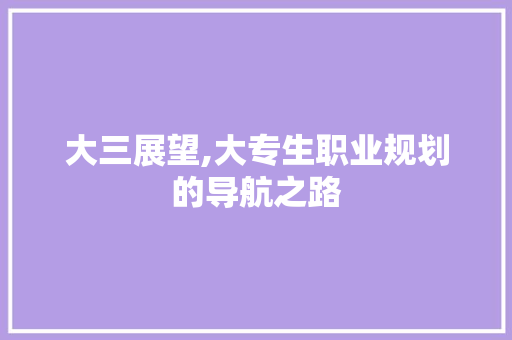 大三展望,大专生职业规划的导航之路