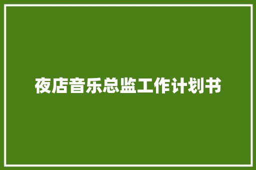 夜店音乐总监工作计划书