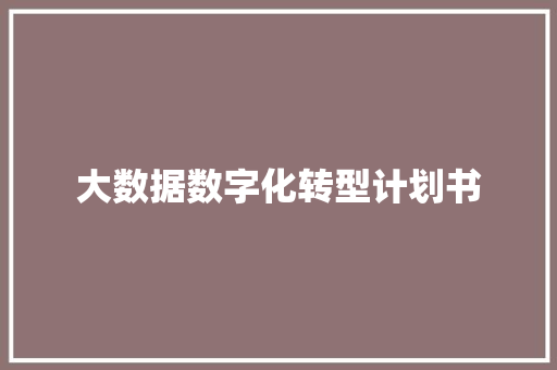 大数据数字化转型计划书