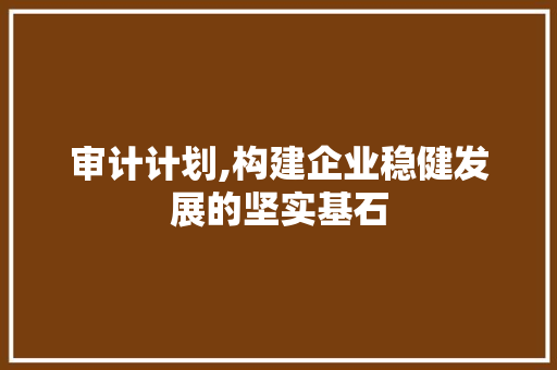 审计计划,构建企业稳健发展的坚实基石