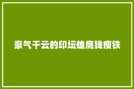 豪气干云的印坛雄鹰钱瘦铁