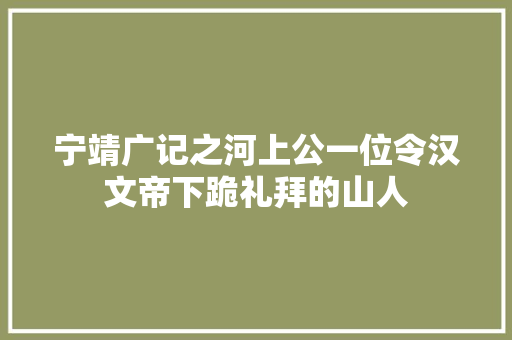 宁靖广记之河上公一位令汉文帝下跪礼拜的山人