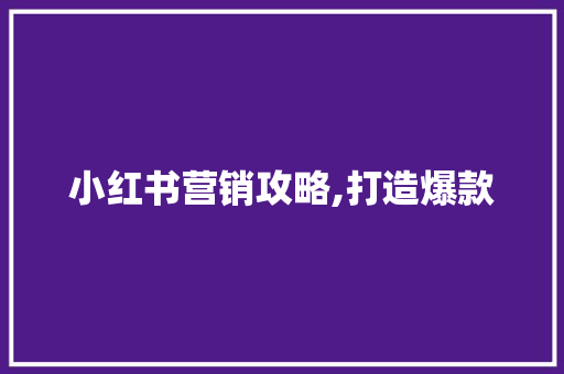 小红书营销攻略,打造爆款，引爆流量！