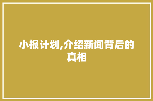 小报计划,介绍新闻背后的真相，引领舆论风向标