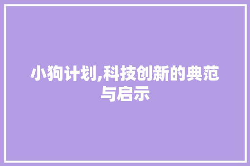 小狗计划,科技创新的典范与启示