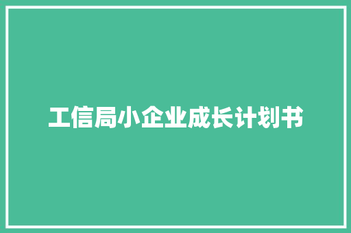 工信局小企业成长计划书