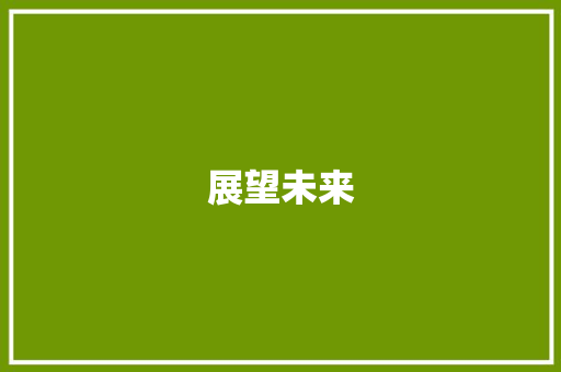 展望未来，构建智慧城市新蓝图_基于新建计划的思考