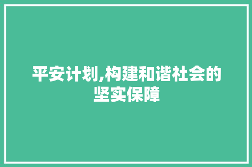 平安计划,构建和谐社会的坚实保障