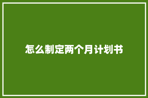 怎么制定两个月计划书