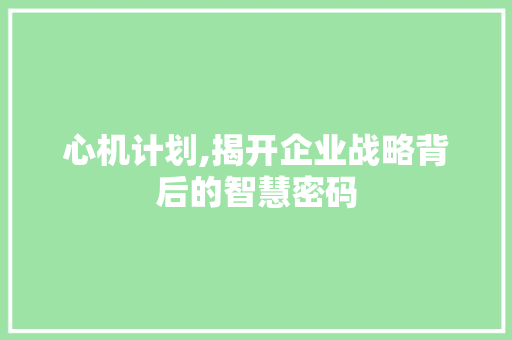 心机计划,揭开企业战略背后的智慧密码