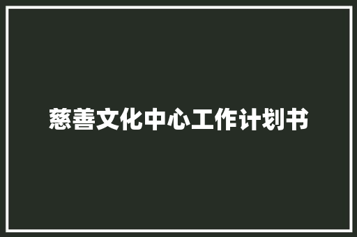 慈善文化中心工作计划书