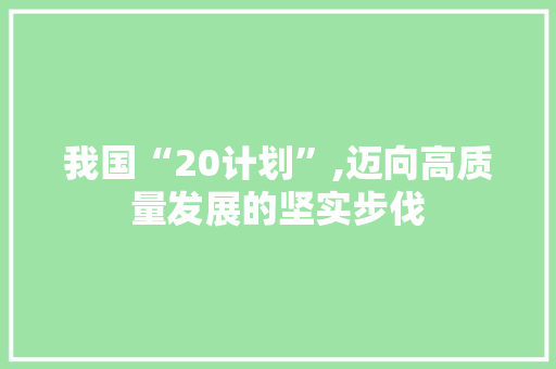 我国“20计划”,迈向高质量发展的坚实步伐