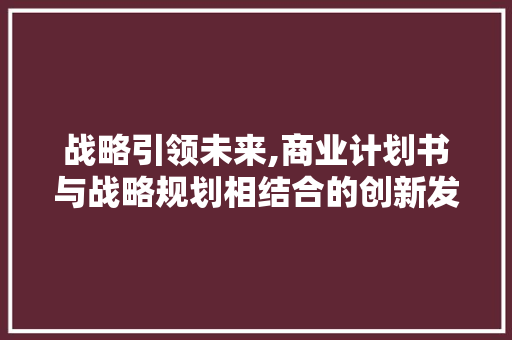 战略引领未来,商业计划书与战略规划相结合的创新发展之路