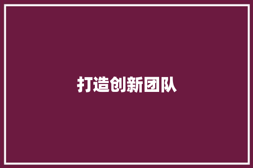 打造创新团队，共筑未来梦想