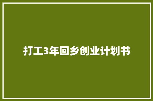 打工3年回乡创业计划书