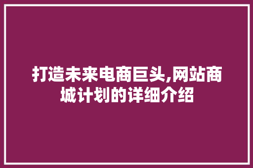 打造未来电商巨头,网站商城计划的详细介绍