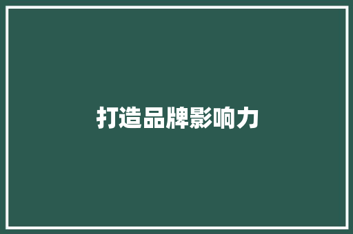 打造品牌影响力，把握推广黄金时期_详细介绍推广计划步骤