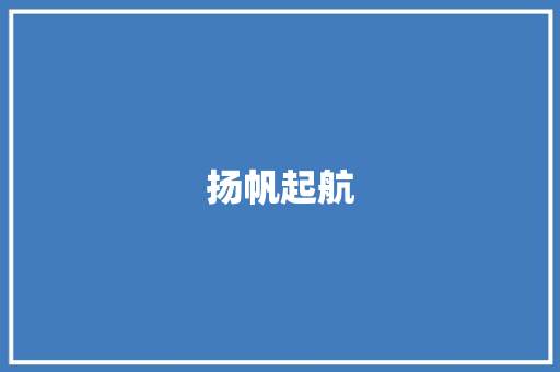 扬帆起航，共创辉煌_某创业项目运营计划详细介绍