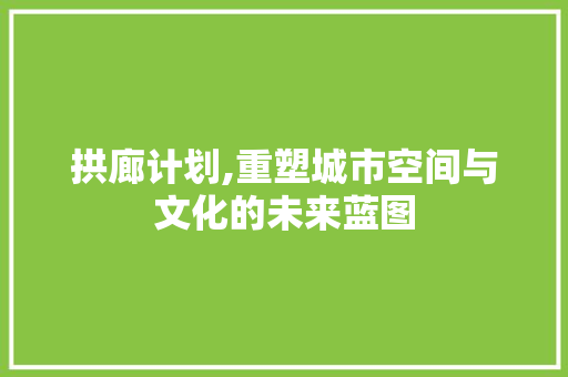 拱廊计划,重塑城市空间与文化的未来蓝图