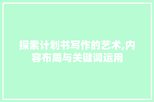 探索计划书写作的艺术,内容布局与关键词运用