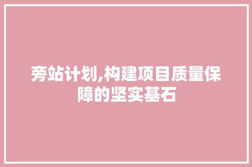 旁站计划,构建项目质量保障的坚实基石